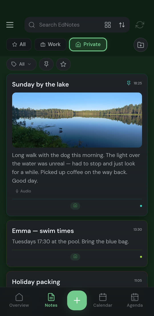 The Private profile in dark mode