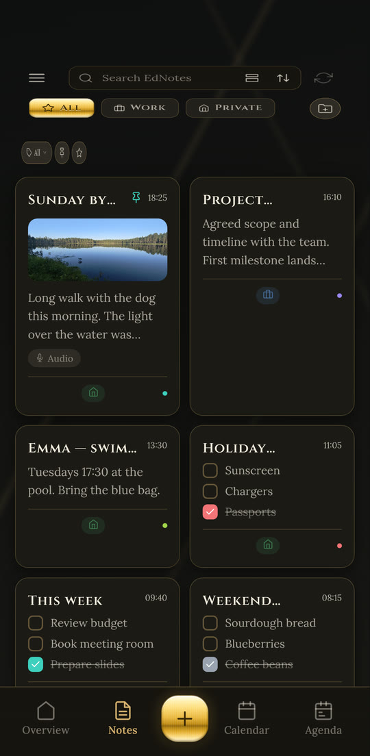 EdNotes in the Gold theme, dark mode