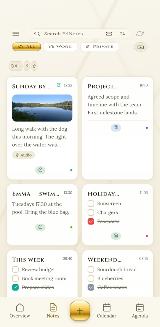 EdNotes in the Gold theme, light mode