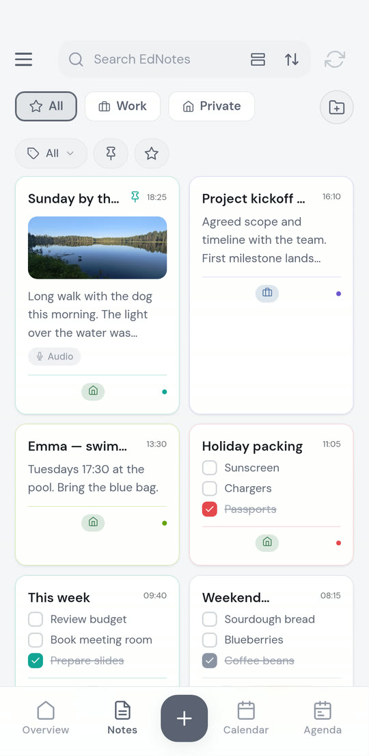 The EdNotes notes screen showing note cards and checklists across the All, Work and Private profiles
